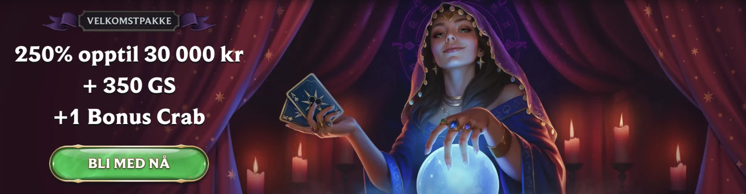 Promotional Banner